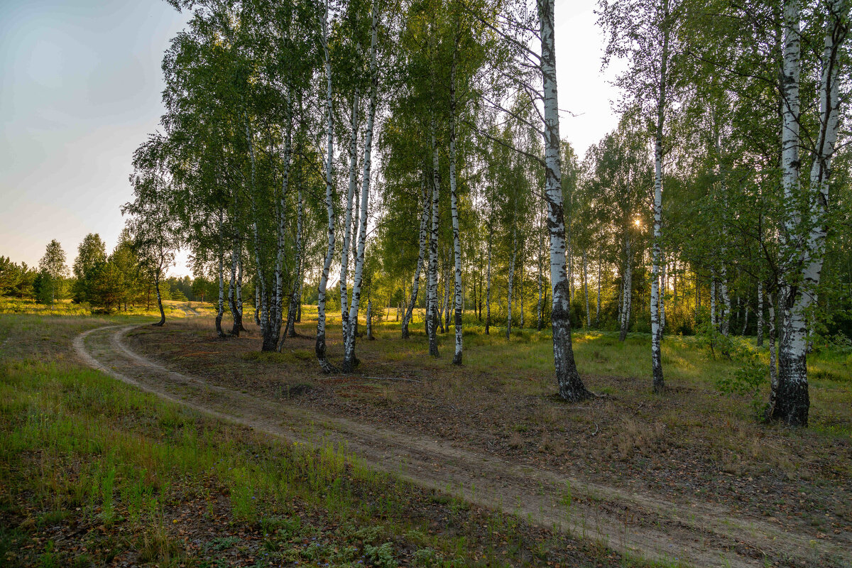 Дорожка в осень. - Сергей Татаринов