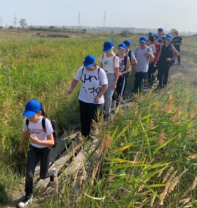 Поход,в тростники - Георгиевич 