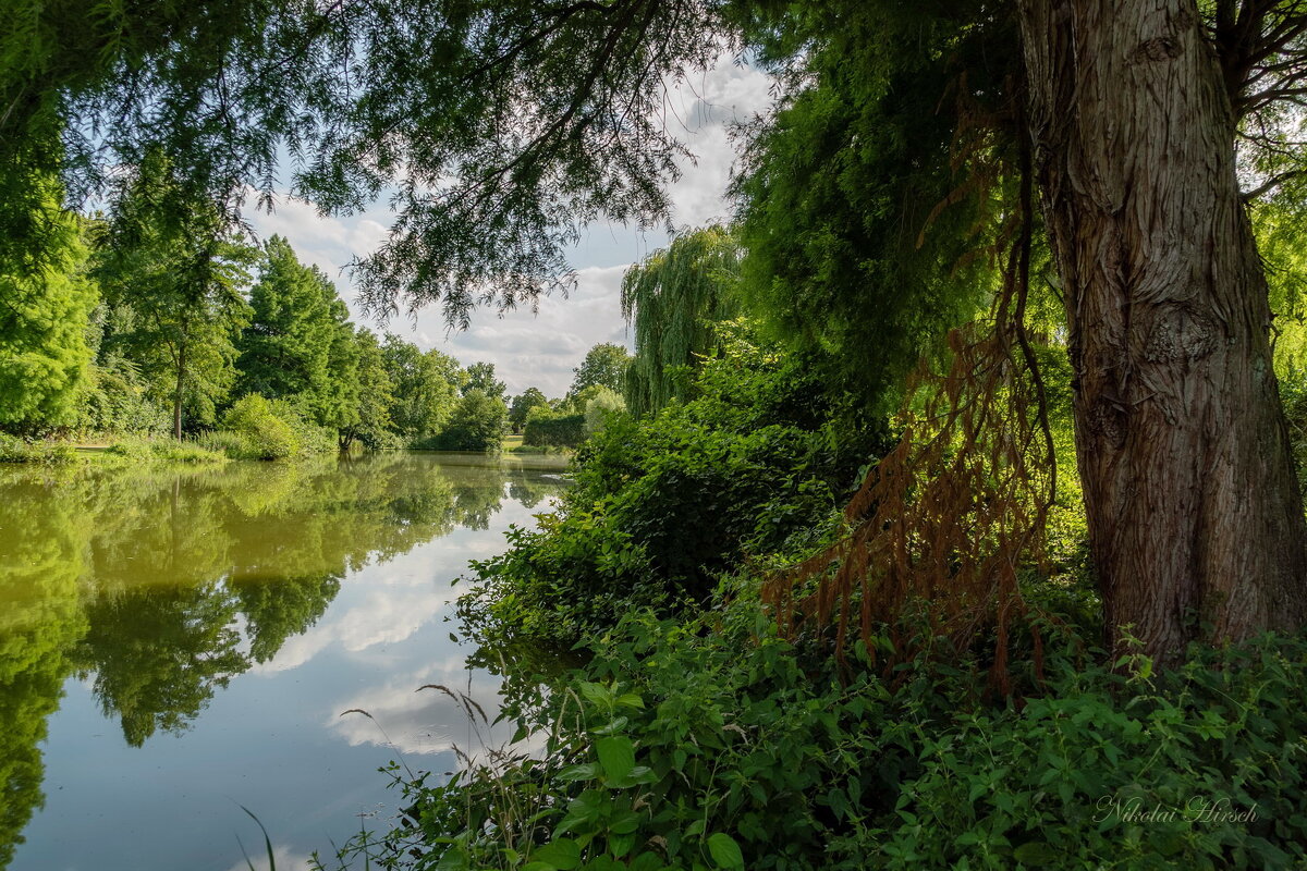 Пейзаж с болотным кипарисом - Николай Гирш Пейзаж с болотным кипарисом - Николай Гирш
