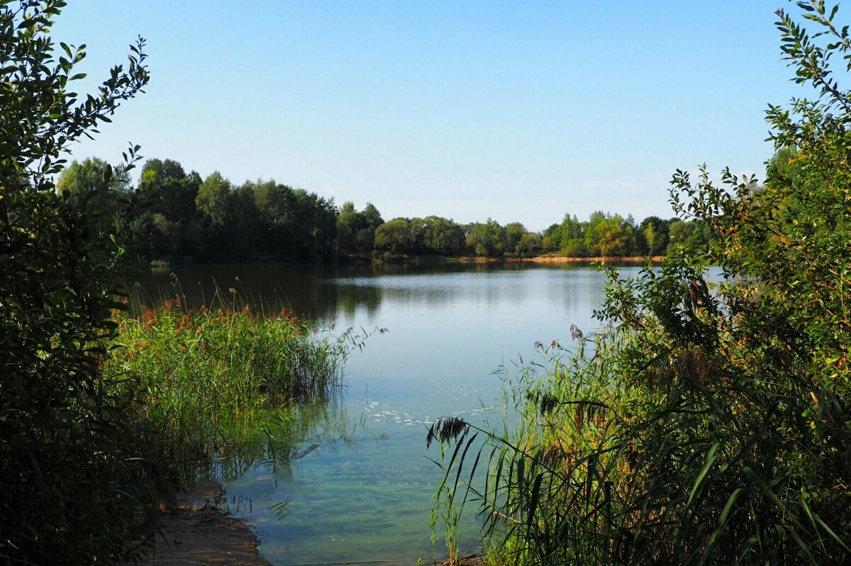 Рыболовное место (репортаж из поездок по области). - Милешкин Владимир Алексеевич Рыболовное место (репортаж из поездок по области). - Милешкин Владимир Алексеевич