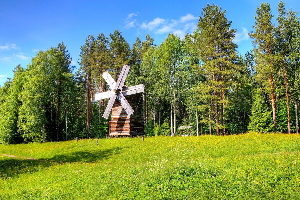 Ветряная Мельница из деревни Средняя Медлеша - Константин 