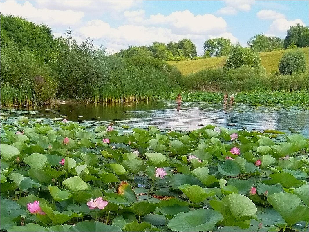 „нимФеи" - Сеня Белгородский