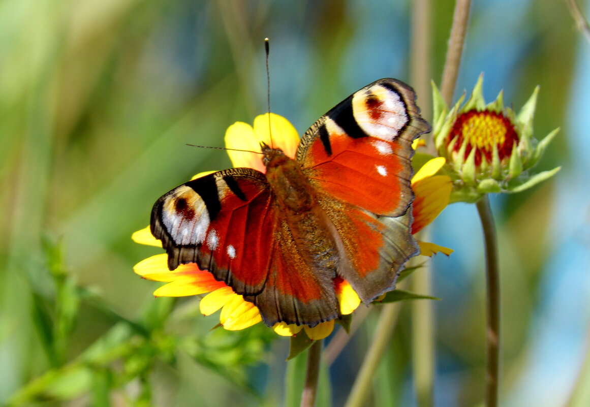 немного из сегодняшней съемки 14 - Александр Прокудин