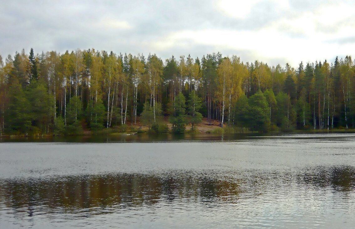 Начало осени - Вера Щукина