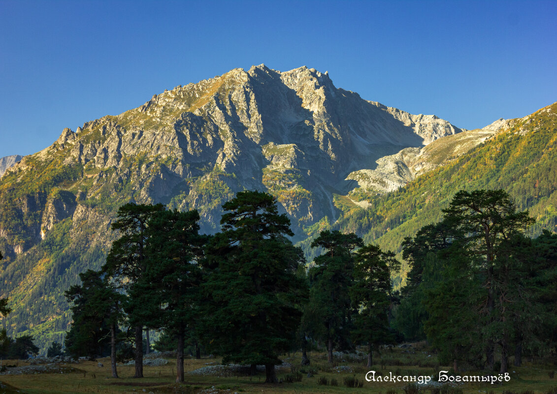 Аксаут - Александр Богатырёв Аксаут - Александр Богатырёв