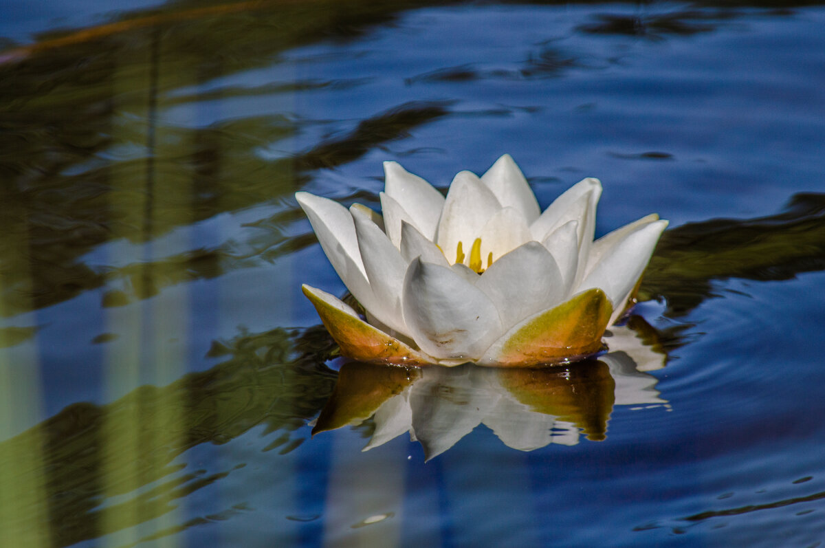 *** - Irina *** - Irina