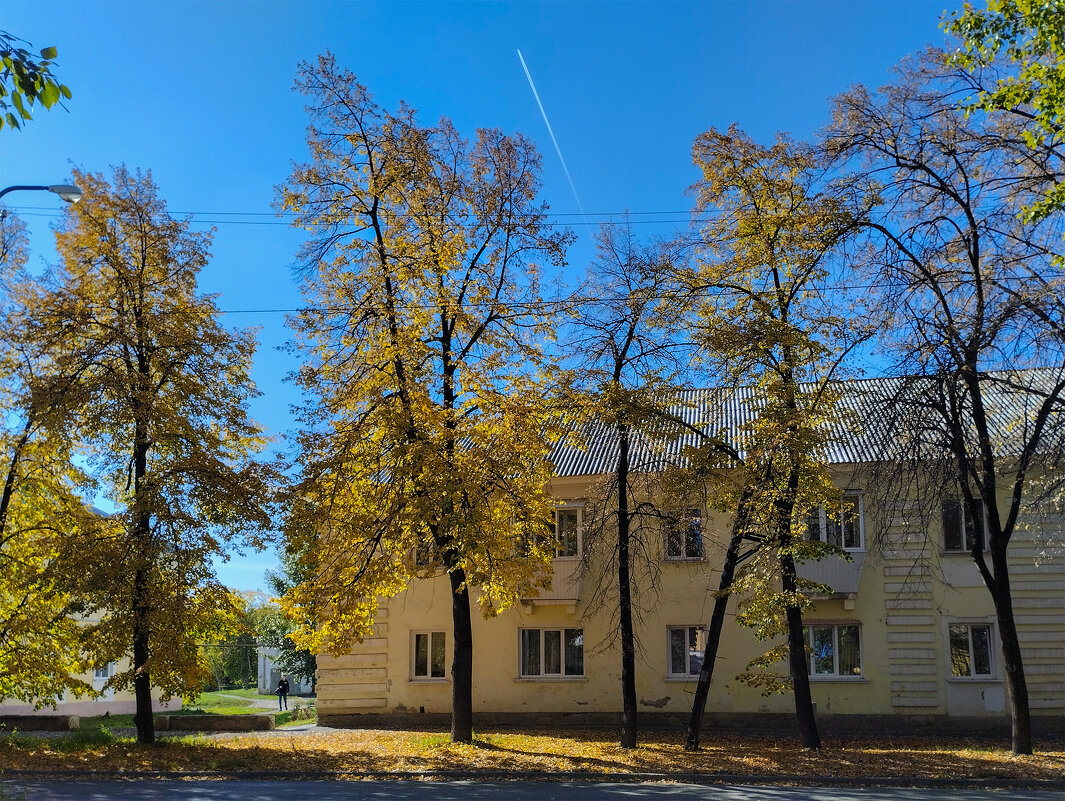 Дневной свет - Дмитрий Костоусов