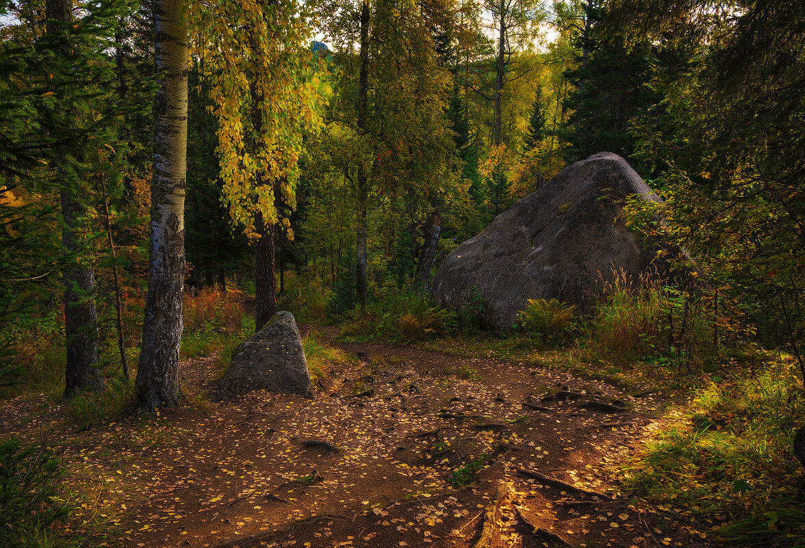 * - Александр Иванов