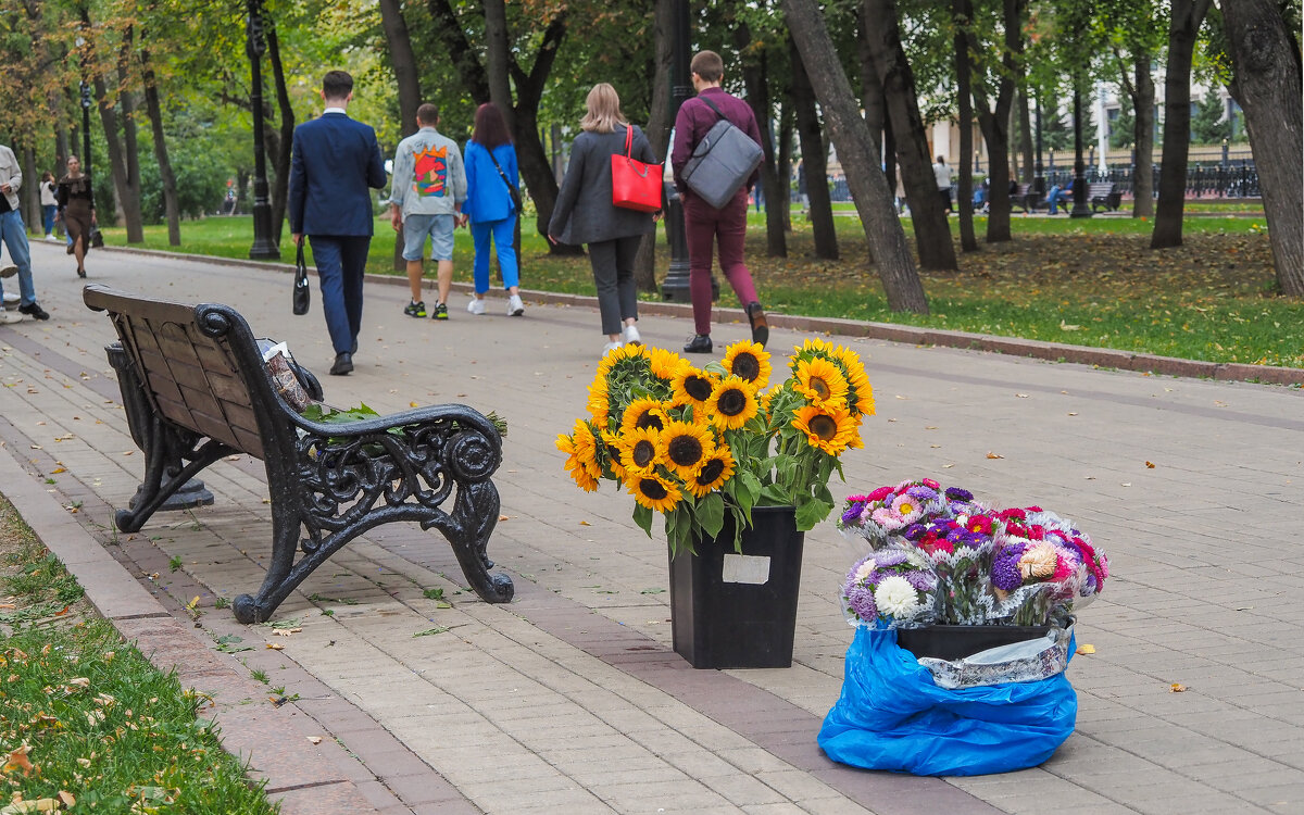 Городсеая Зарисовка - юрий поляков