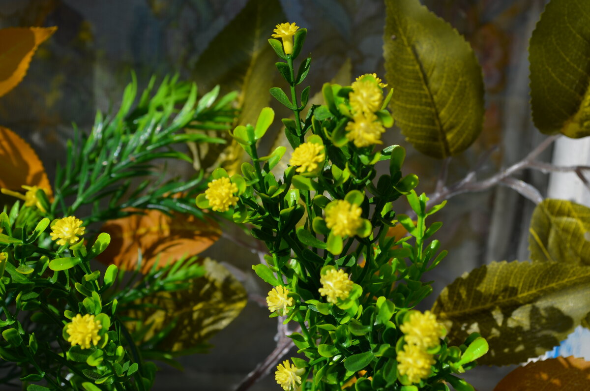 ,,, - Сергей Тимоновский