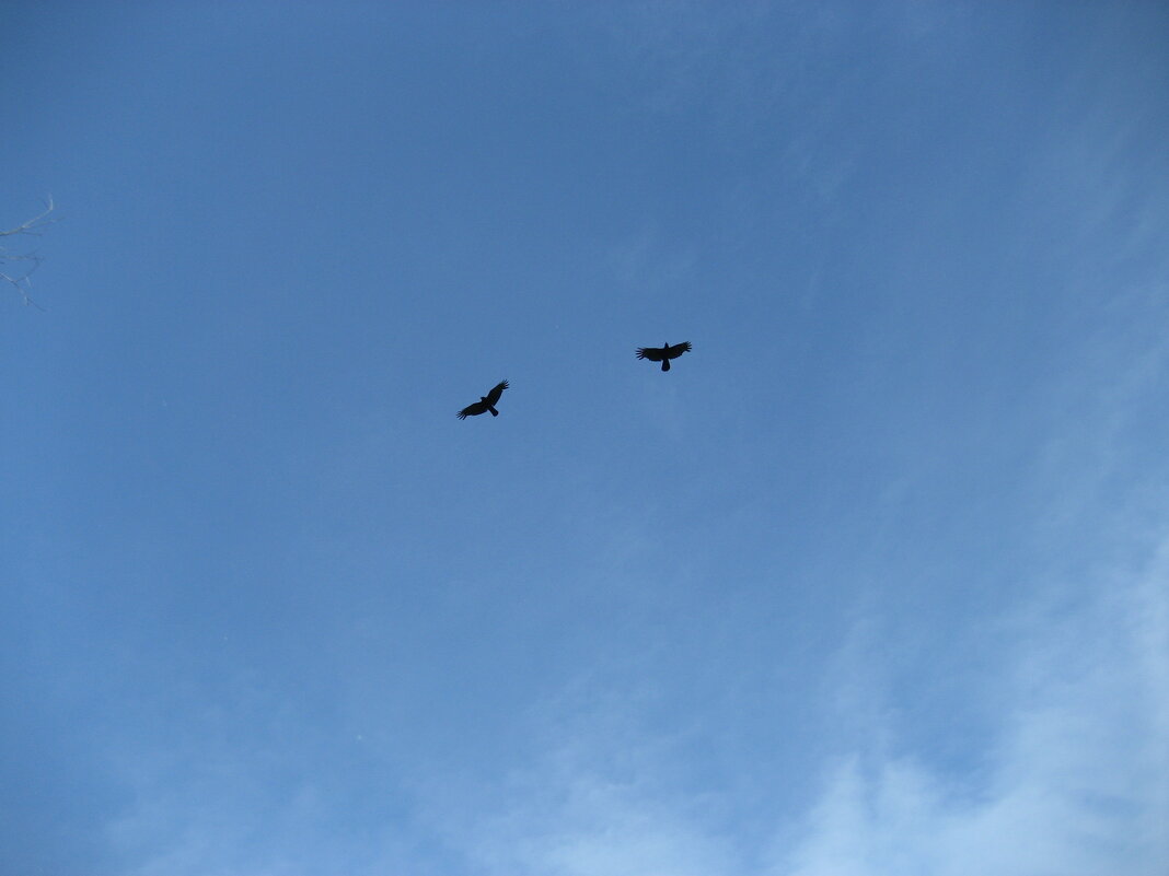 Обеспокоенные родители - Anna Ivanova