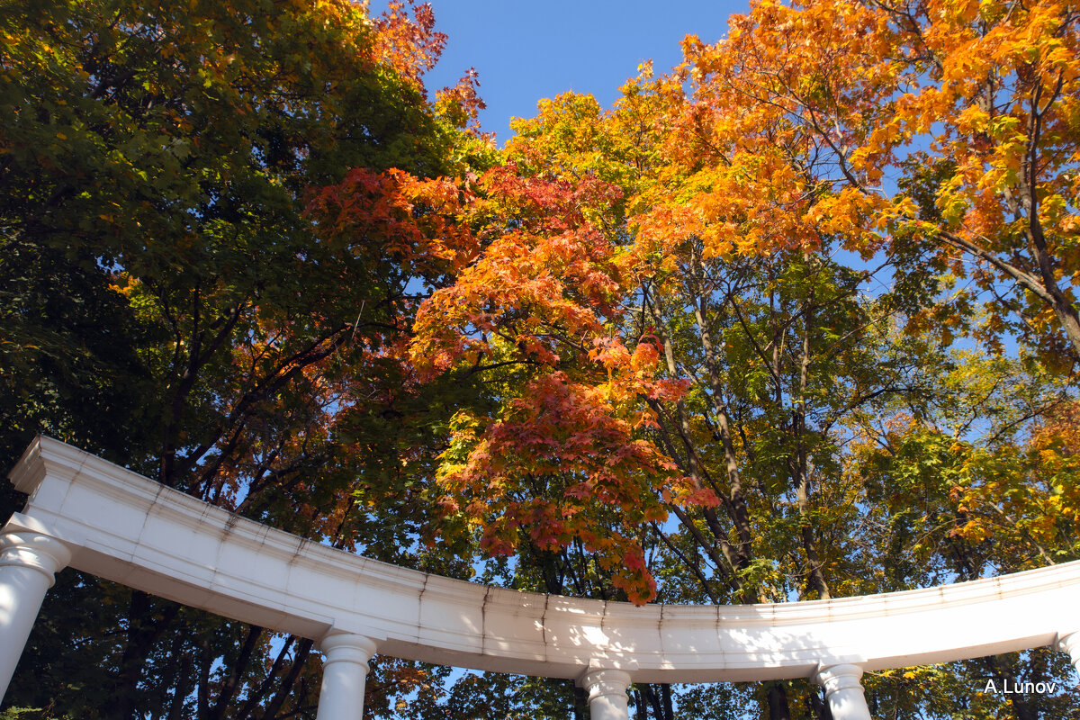 Уж небо осенью дышало... - Anatoly Lunov Уж небо осенью дышало... - Anatoly Lunov