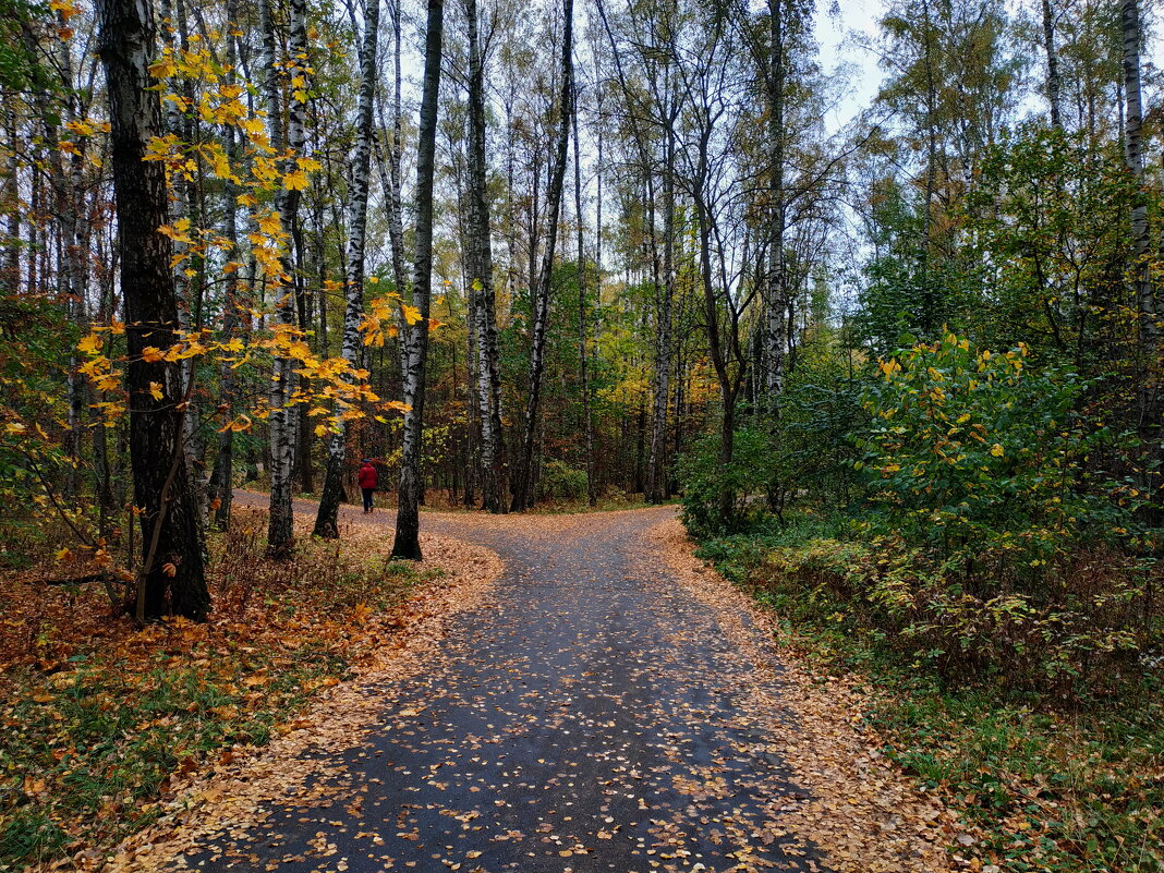 Октябрь  уж наступил на нас - Андрей Лукьянов