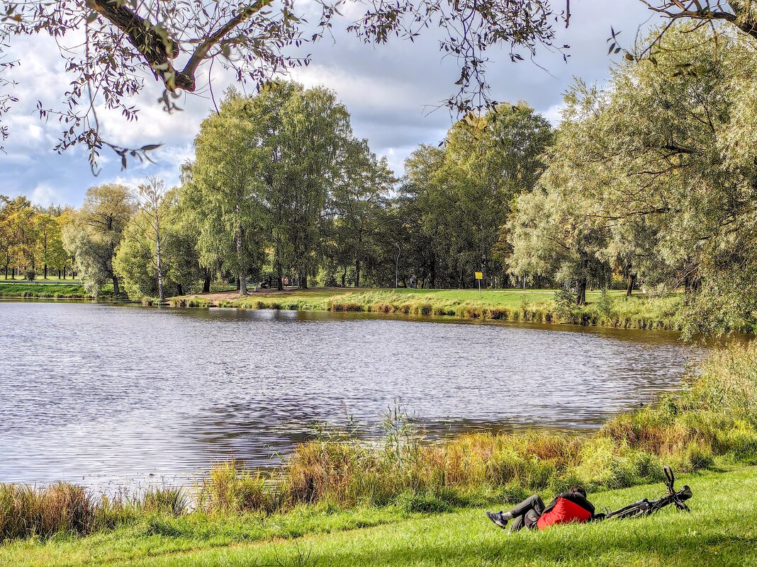 Прилегли - Любовь Зинченко 