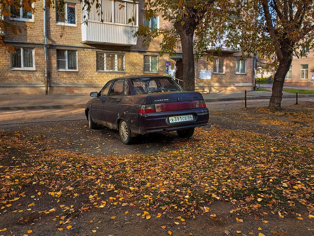 Мозаика октябрьских дворов. Невезуха - Дмитрий Костоусов