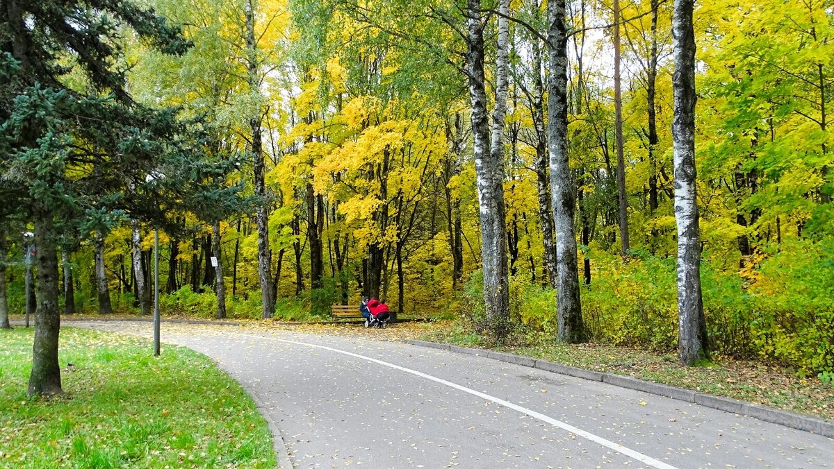 Осенний парк. - Милешкин Владимир Алексеевич Осенний парк. - Милешкин Владимир Алексеевич