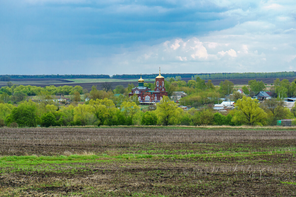 Вид на село Острый Камень - Дмитрий Ряховский