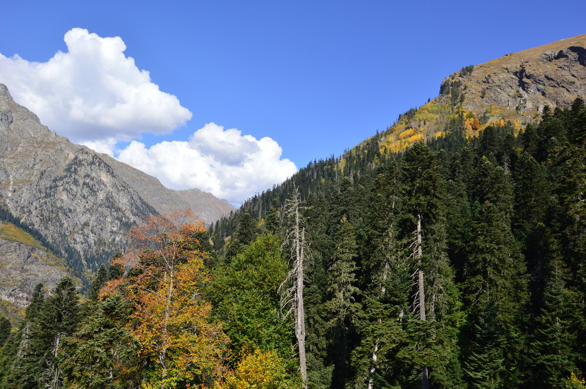 Домбай. - Виктор 