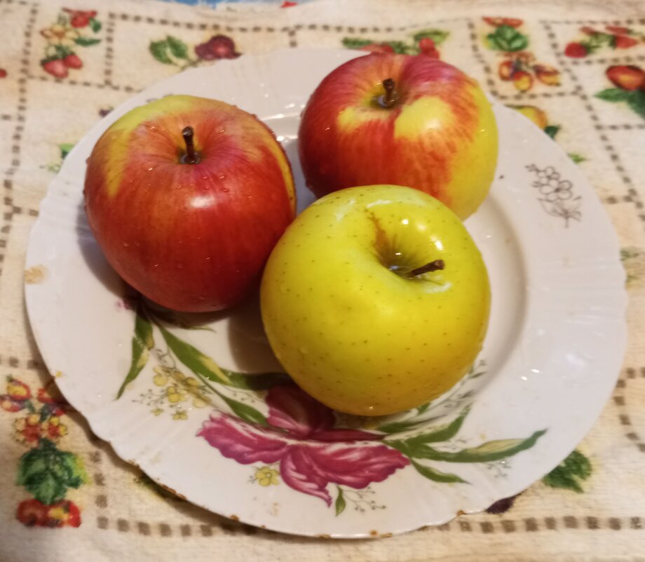 ***** - Елена Семигина ***** - Елена Семигина