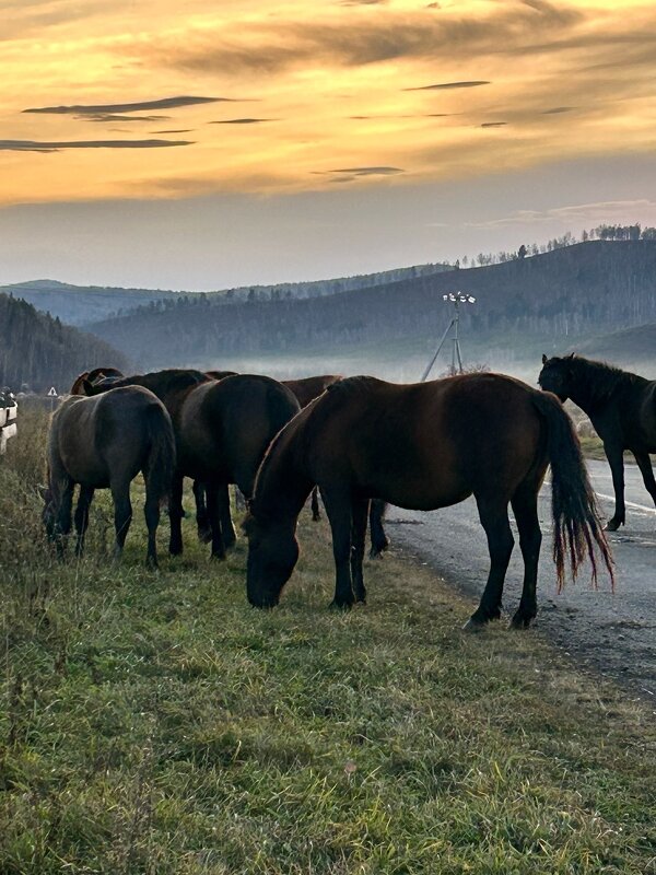 На закате дня - Лариса 