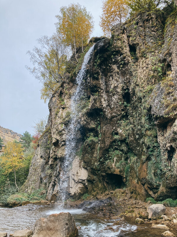 Слон - Юлия Бабаева