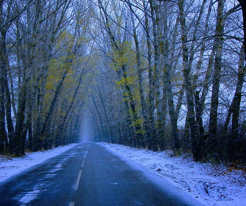 Аллея - Олег Денисов