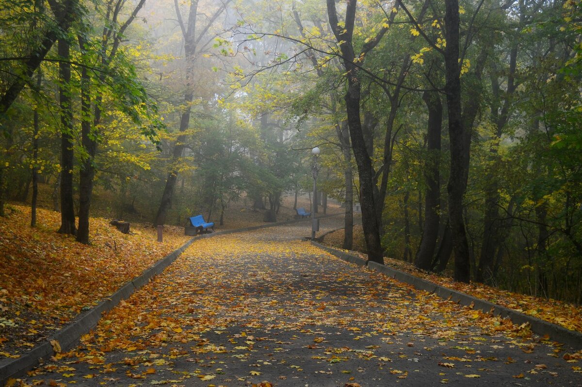 В аллеях осенних......... - Юрий Цыплятников