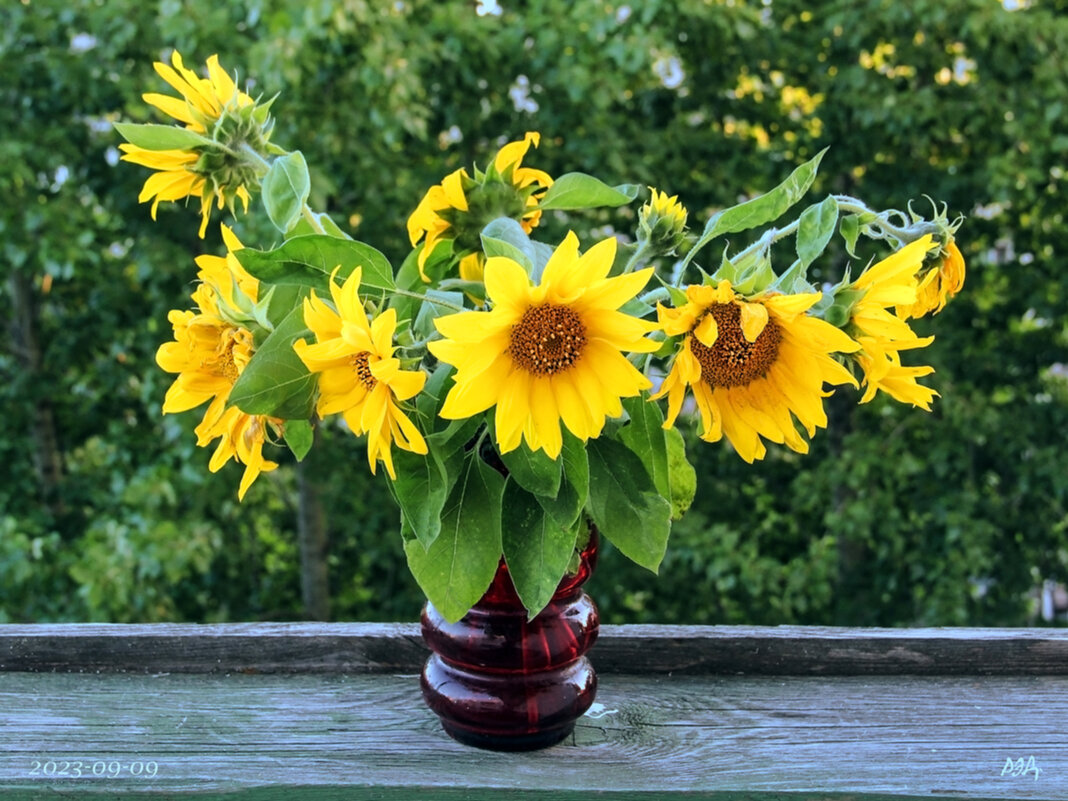 *** - Роланд Дубровский