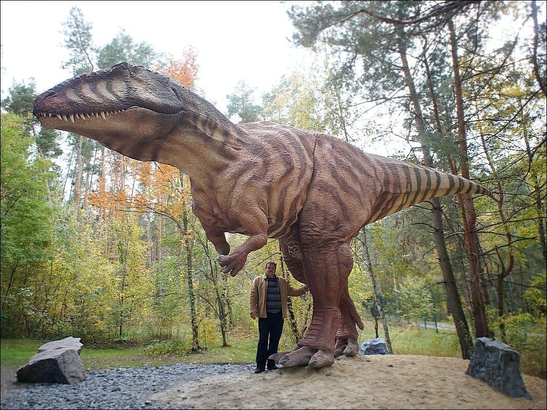 „Рекс" к ноге ... - Сеня Белгородский