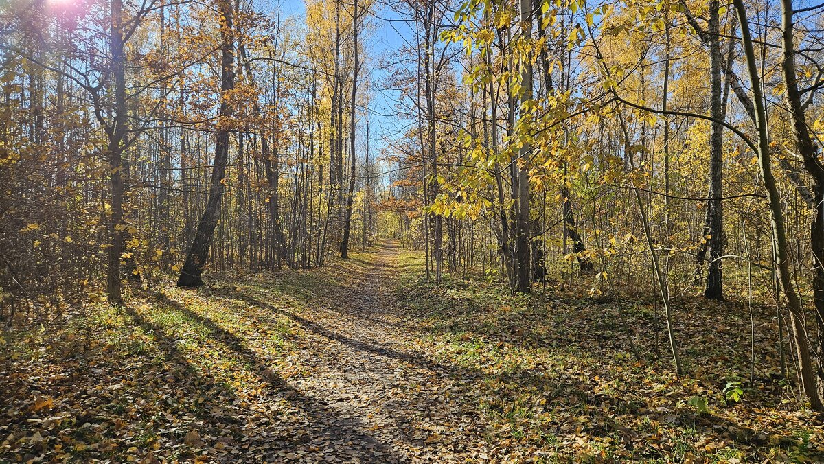 Осень 2 - Сергей Черник