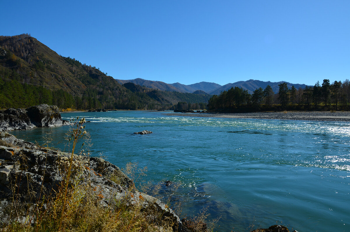 Катунь в октябре. - Валерий Медведев Катунь в октябре. - Валерий Медведев