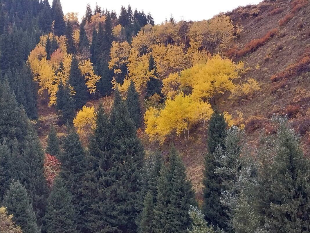 Almaty. - Murat Bukaev 