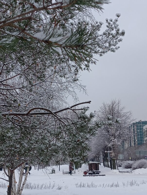 Зима - Андрей 