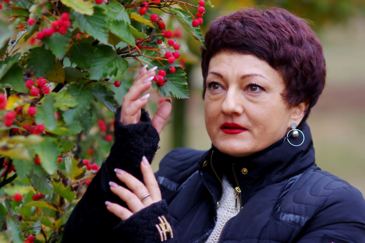 Рябина красная - Лана 