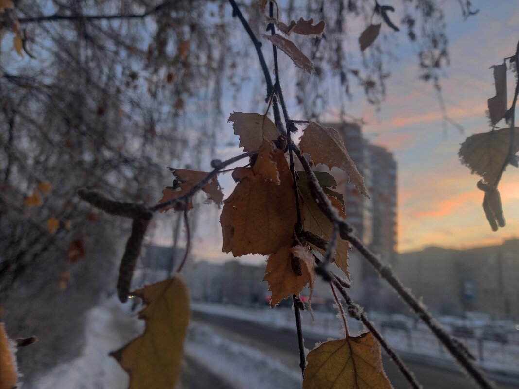 Закат - Сапсан 