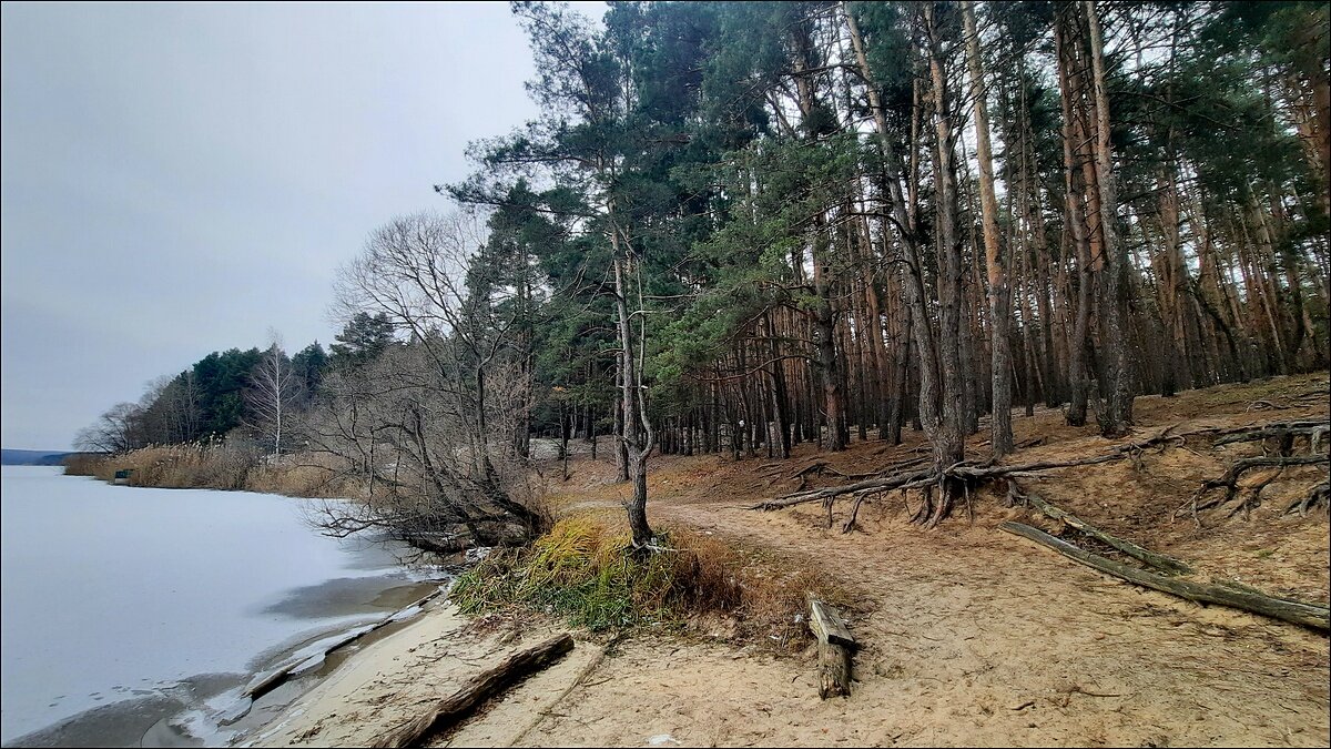 Берег - Сеня Белгородский