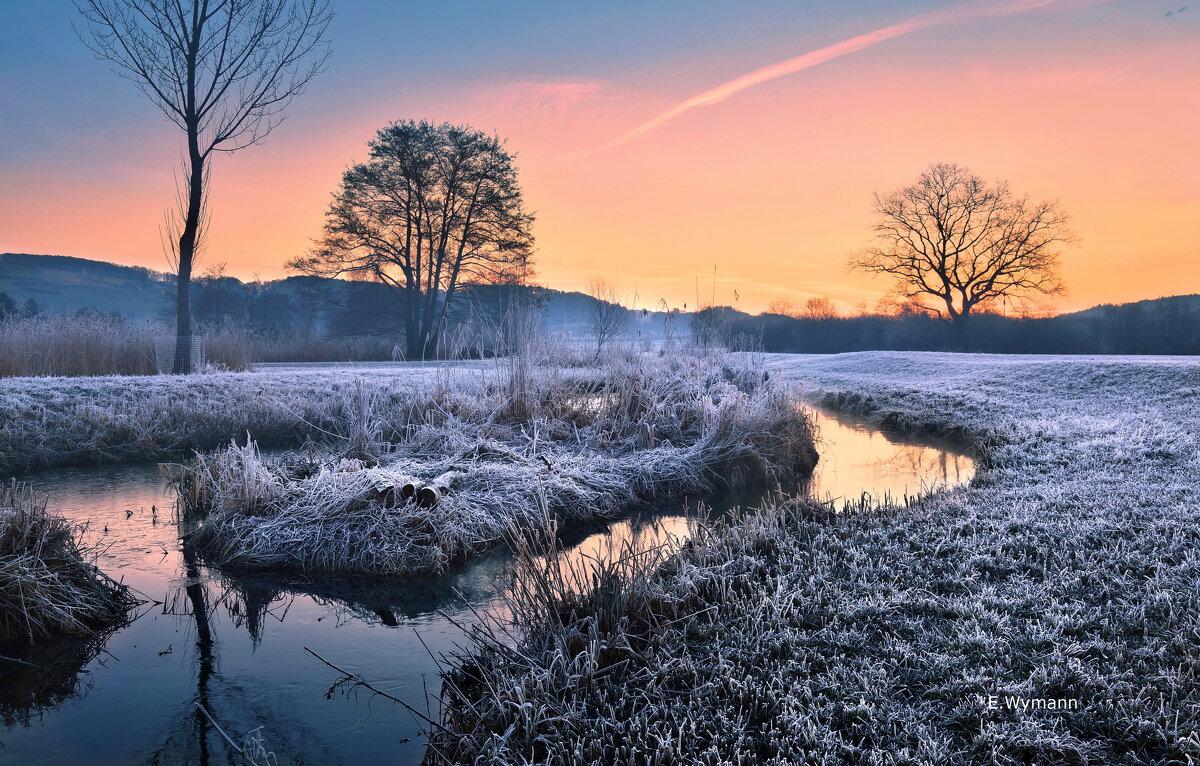 winter morning - Elena Wymann