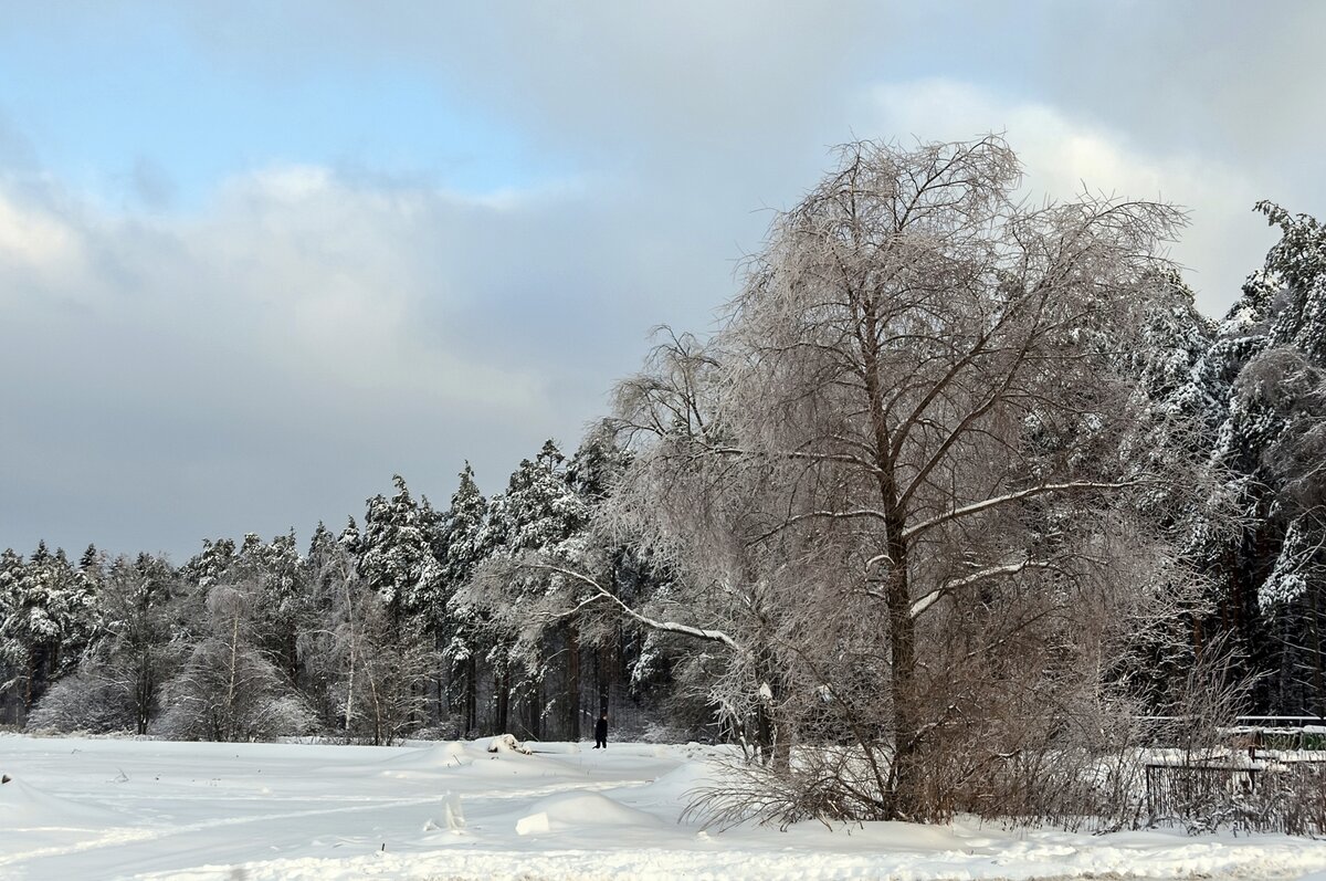 Декабрь - Валерий Иванович