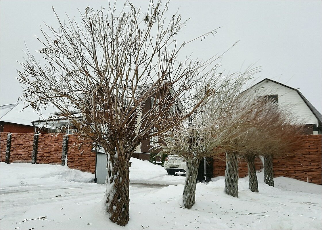 Ледянной дождь - Сеня Белгородский