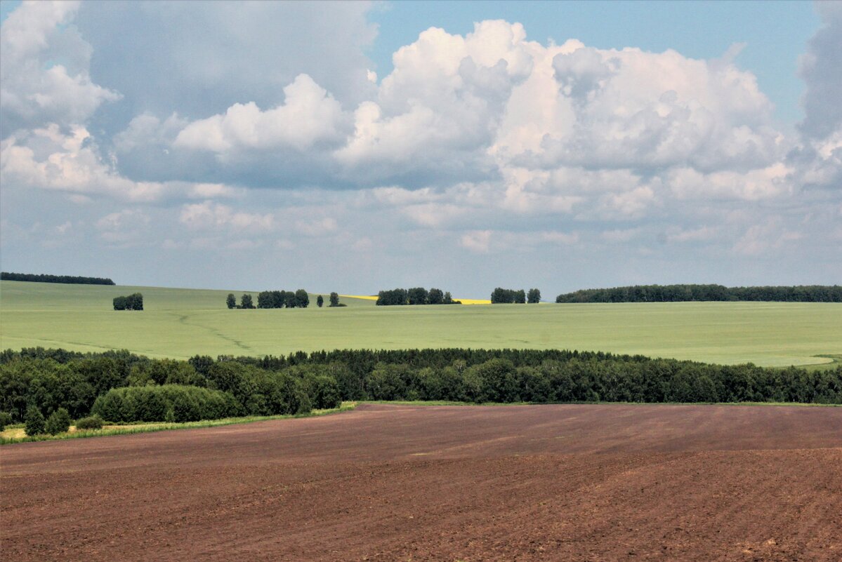 Даль - Сергей Никифоров Даль - Сергей Никифоров