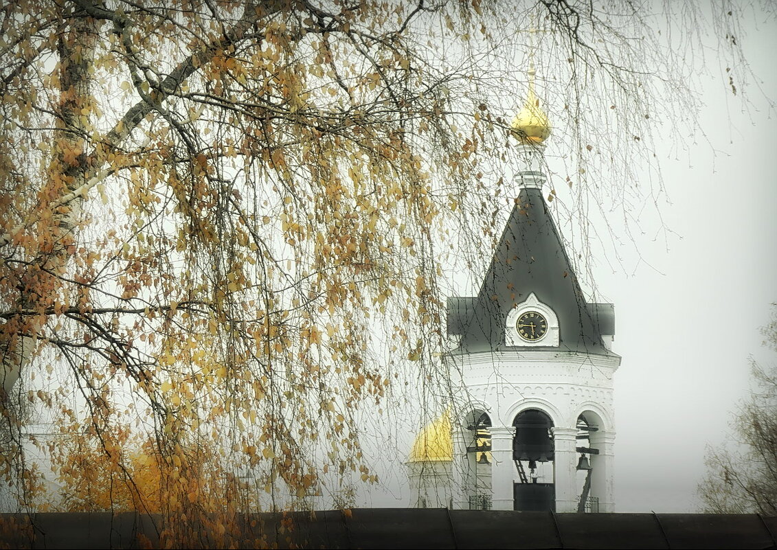 У стен Кремля... - Владимир Шошин