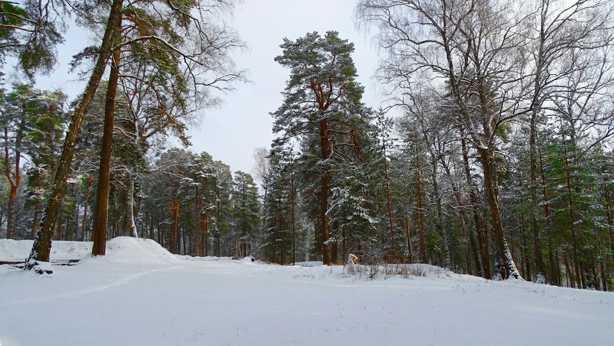 Про зиму (репортаж из поездок по области). - Милешкин Владимир Алексеевич 