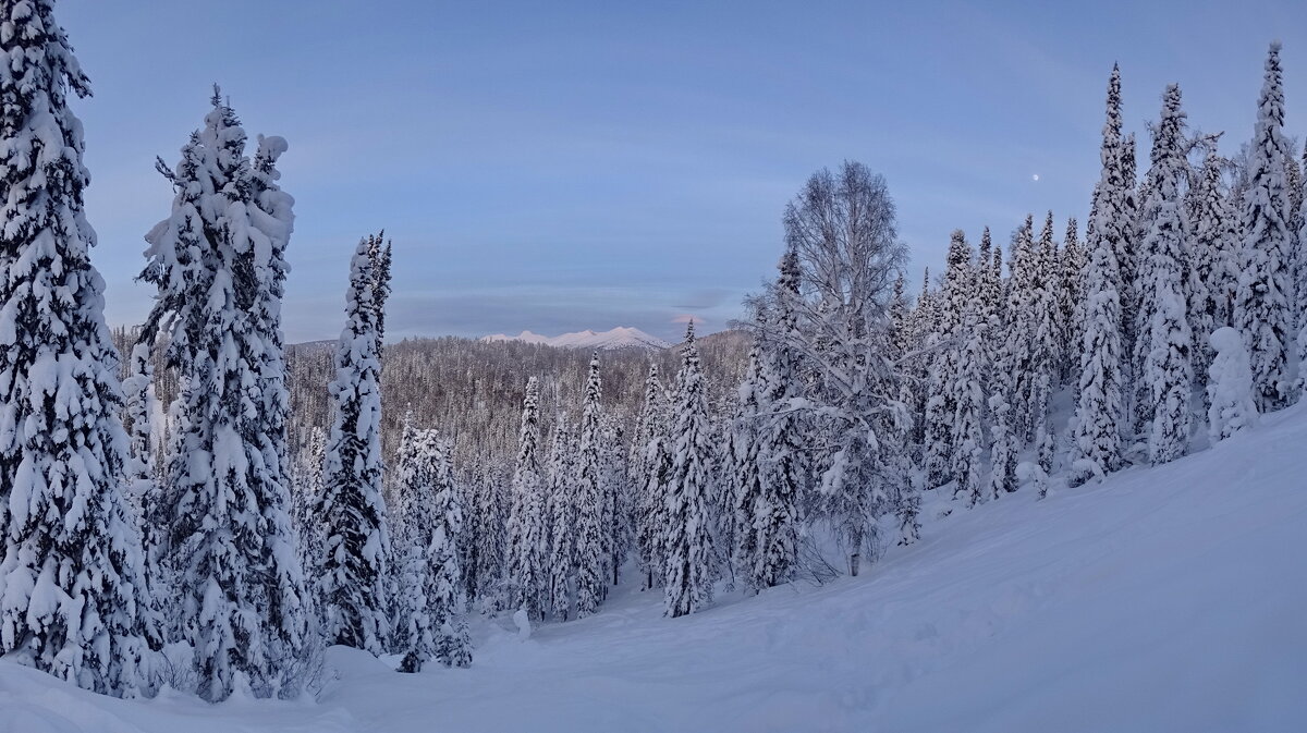 Вечер в зимнем лесу - Павел Трунцев