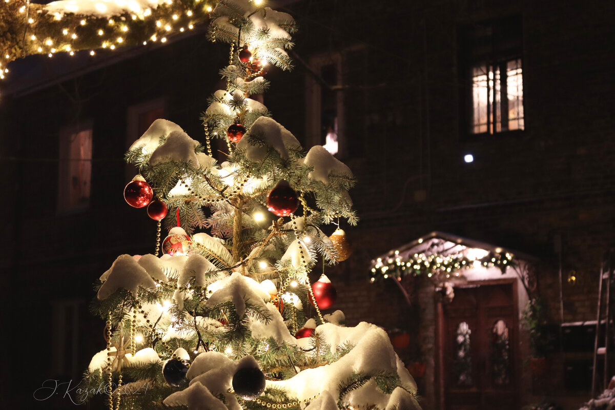 *** - Елена Kазак (selena1965)