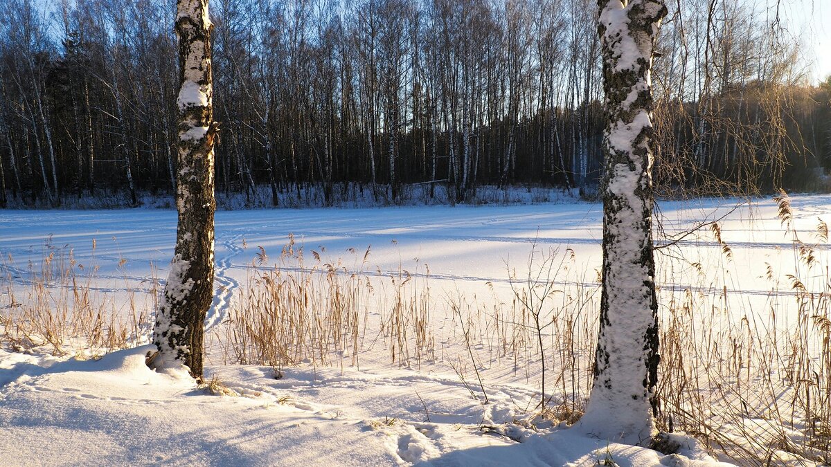Солнце светит, но не греет. - Милешкин Владимир Алексеевич 