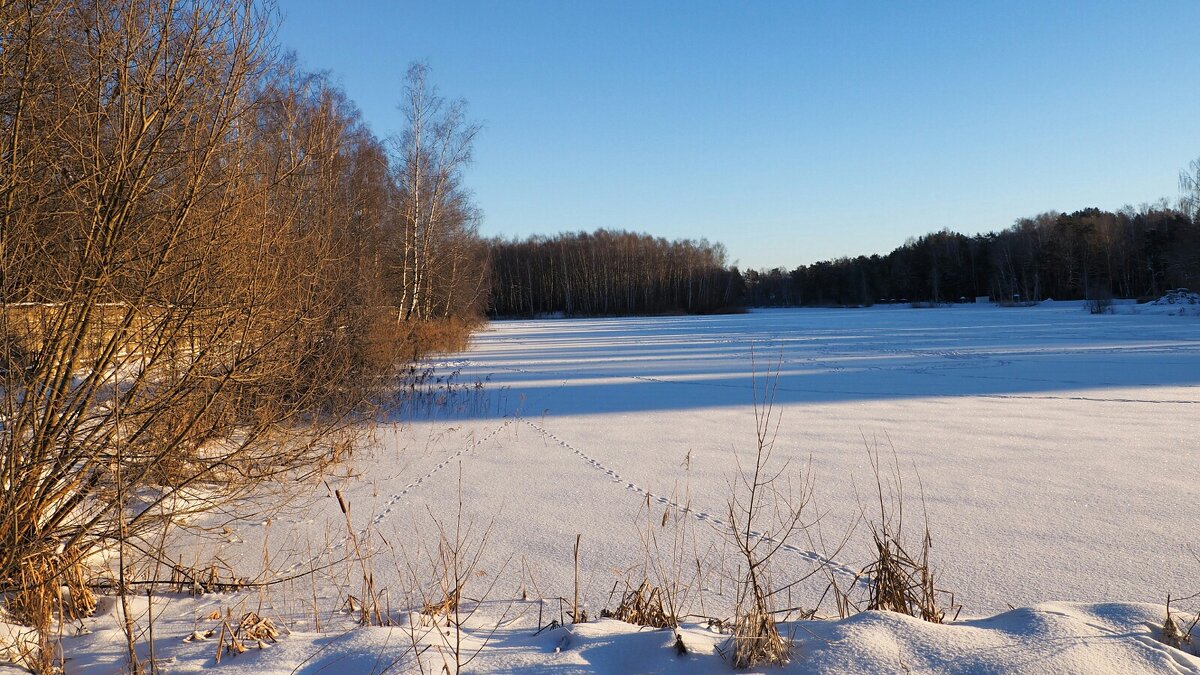 Зимний пейзаж. - Милешкин Владимир Алексеевич 