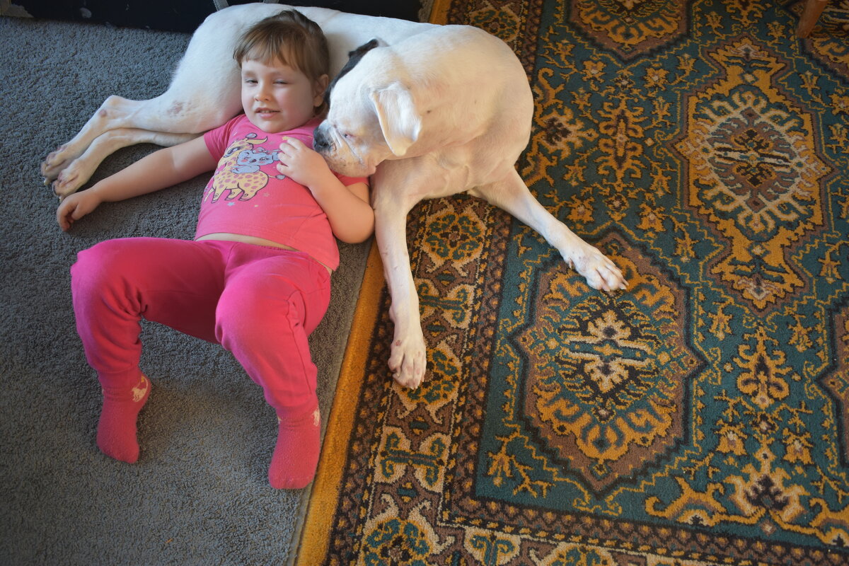 Я и Дина - Сергей Расташанский Я и Дина - Сергей Расташанский