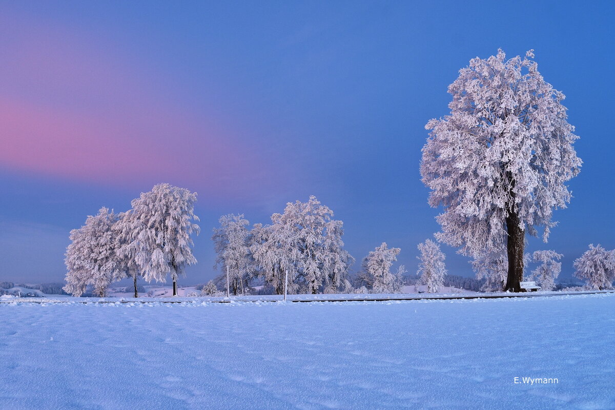 winter's fairytale - Elena Wymann