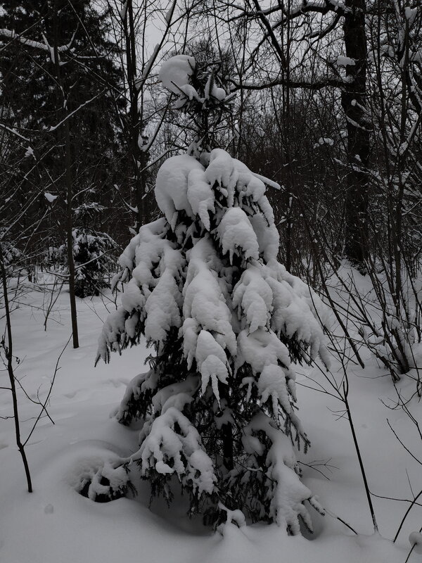 Время ЧБ фотографии - Андрей Лукьянов