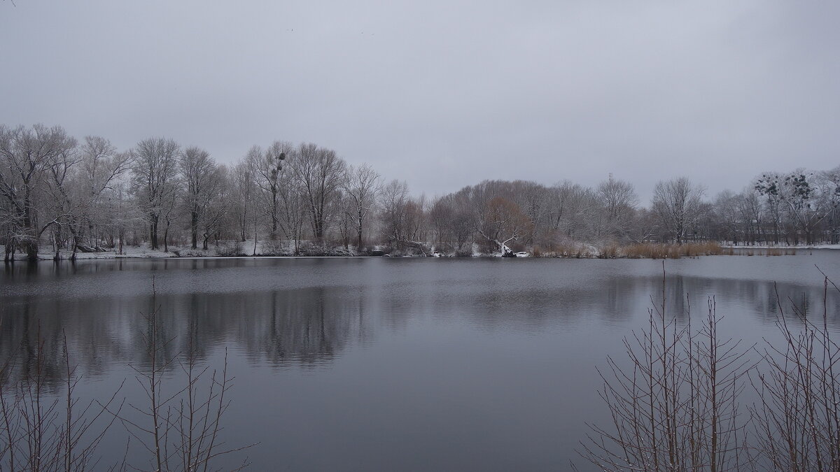 Январь - Рита Симонова Январь - Рита Симонова